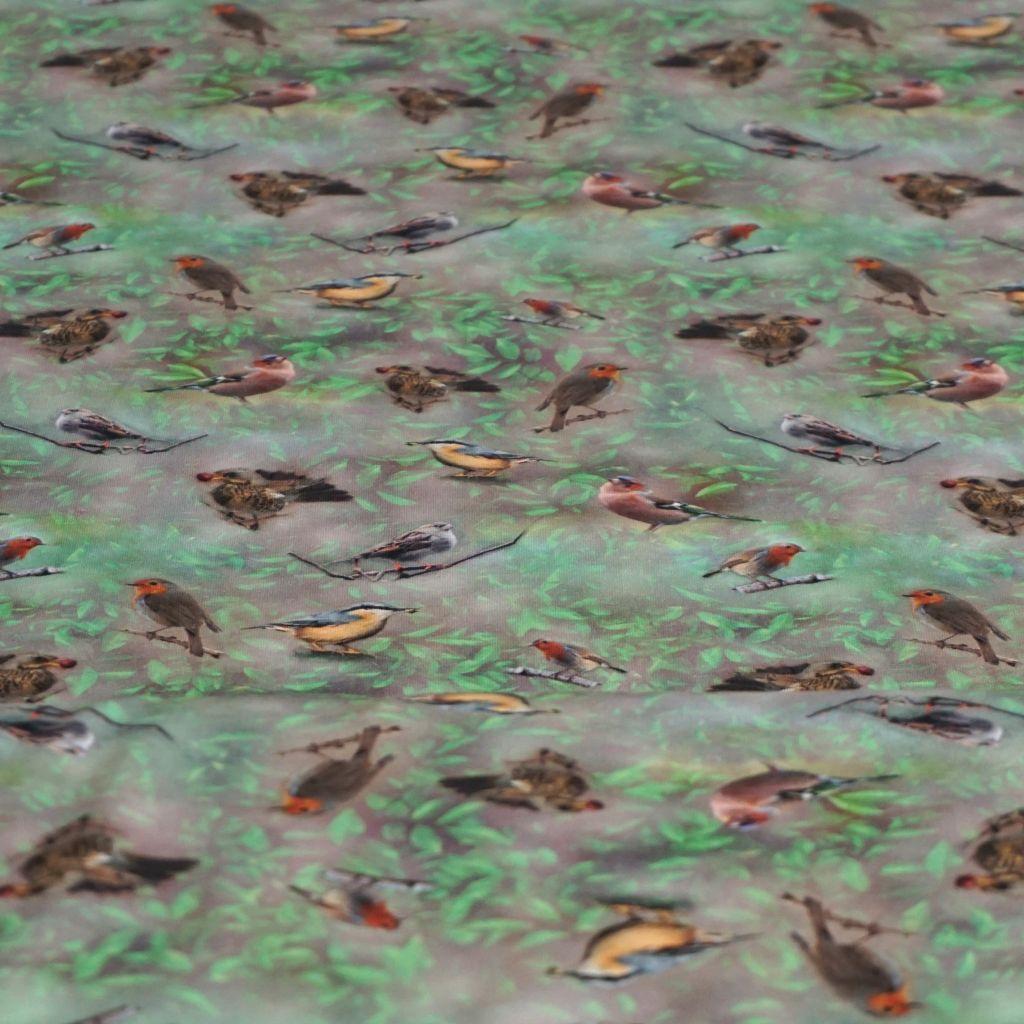 Baumwolljersey Gartenvögel Digitaldruck